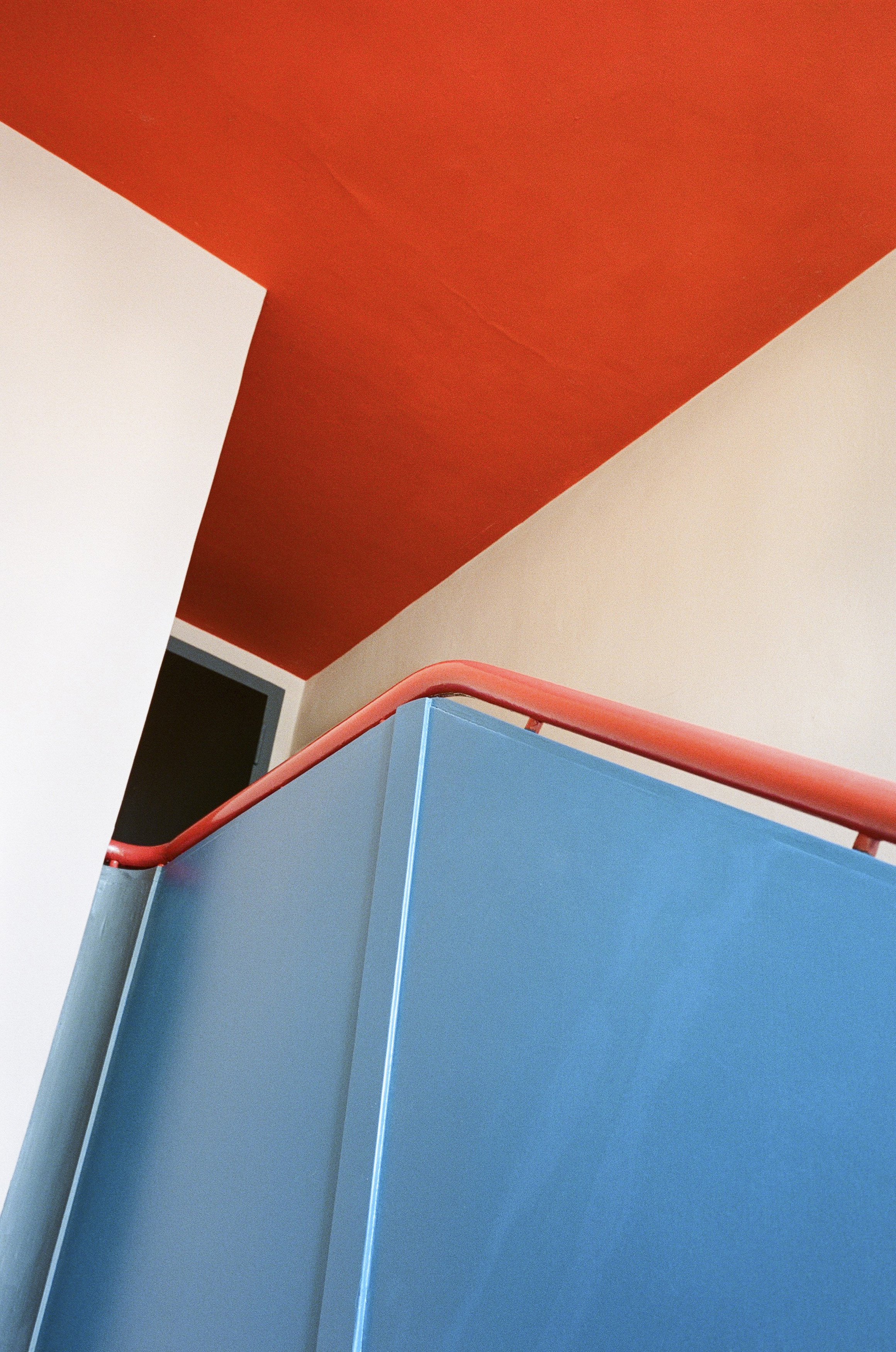 Sofia: Innovative Brand Strategy & Creative Studio